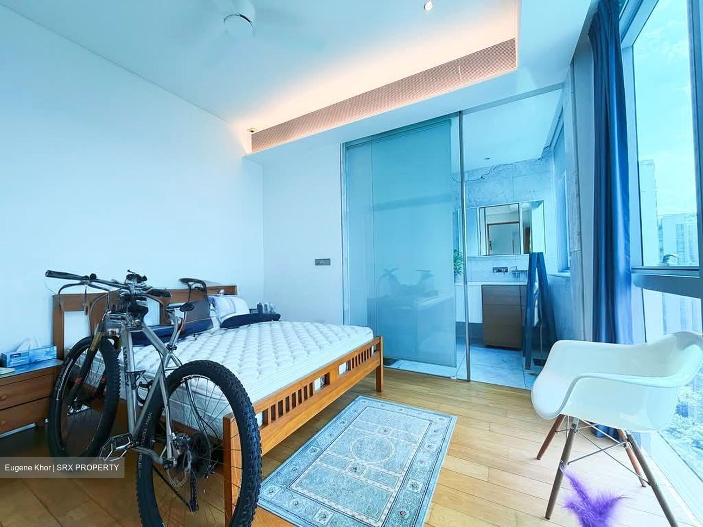 Cairnhill Road (D9), Condominium #563210341